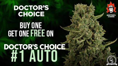 Doctor's Choice - #1 Auto
