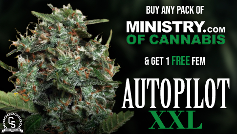 Ministry of Cannabis - Autopilot XXL