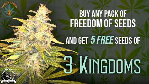 Freedom Of Seeds - 3 Kingdoms