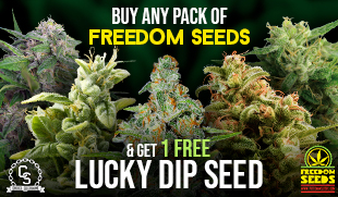 Freedom Seeds Lucky Dip
