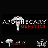 Apothecary Genetics Seeds Shishkaberry Neville�s Haze X Shishkaberry Caramel