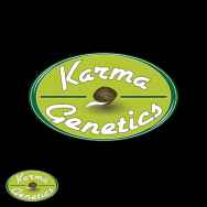 Karma Genetics Seeds Fizz