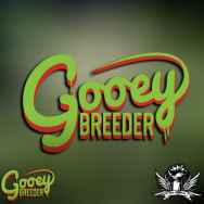 Gooeybreeder Seeds SicBerry