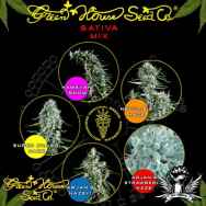 Green House Seeds Sativa Mix