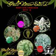 Green House Seeds Sativa Indica Mix A