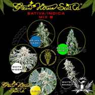 Green House Seeds Sativa Indica Mix B
