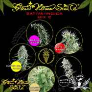 Green House Seeds Sativa Indica Mix C