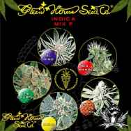 Green House Seeds Indica Mix F