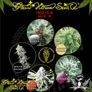Green House Seeds Indica Mix H