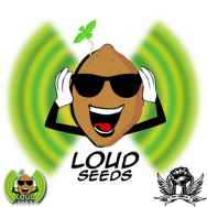 Loud Seeds Loud Sour