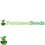 Feminised Seeds Company Gorilla Glue