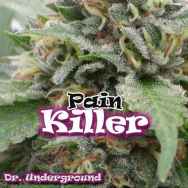 Dr. Underground Seeds Painkiller