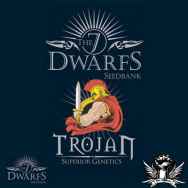 The 7 Dwarfs Seeds Trojan Autoflowering