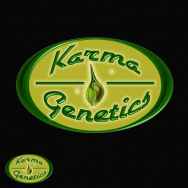 Karma Genetics Limited Seeds Orange Bubba
