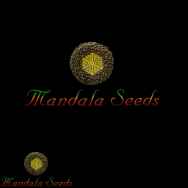Mandala Seeds Flashberry