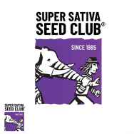 Super Sativa Seed Club Lucky Dip