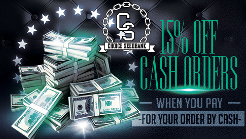 The Choice Seedbank - Buy Cannabis Seeds Online | Best Marijuana ...