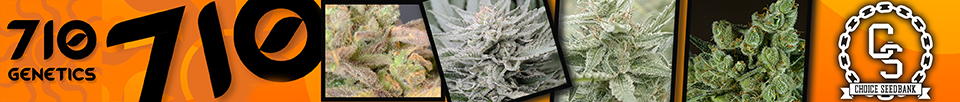 710 Genetics Seeds