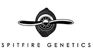 Spitfire Genetics