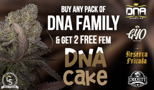 DNA Genetics Dna Cake