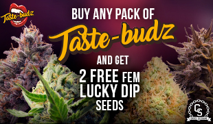 Taste-Budz Lucky Dip