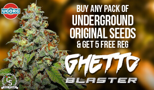 Underground Originals Ghetto Blaster