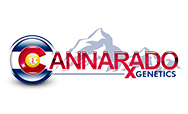 Cannarado Genetics Seeds