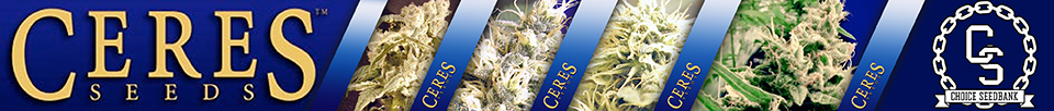 Ceres Seeds