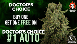 Doctor's Choice - #1 Auto