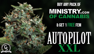 Ministry of Cannabis - Autopilot XXL