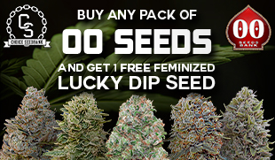 00 Seeds Lucky Dip