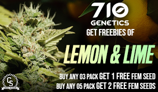 710 Genetics Lemon & Lime