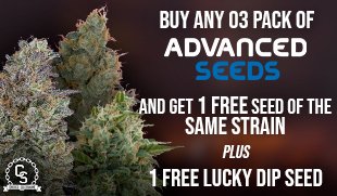 Advanced Seeds 1 Free seed & 1 Lucky Dip