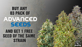 Advanced Seeds Promotion