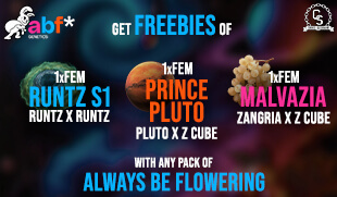 Always Be Flowering Freebies