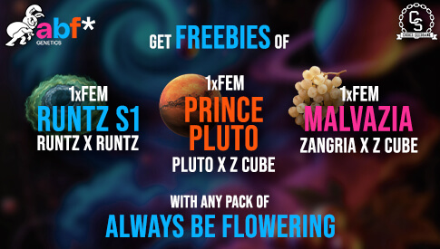 Always Be Flowering Freebies JULY