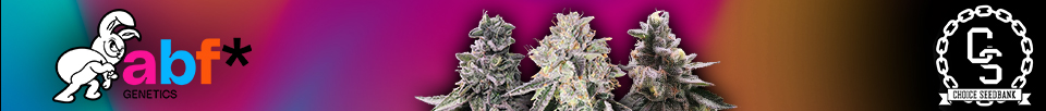 Always Be Flowering Genetics