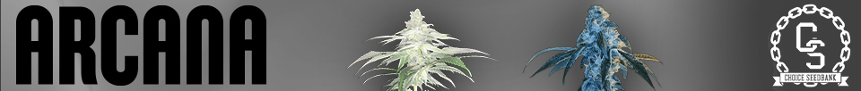 Arcana Genetics