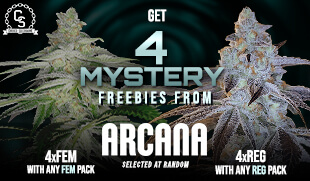 Arcana Mystery Freebies