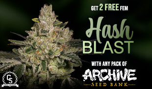 Archive Seedbank Hash Blast