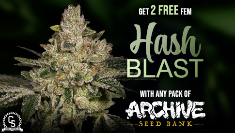 Archive Seedbank Hash Blast