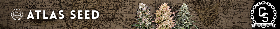 Atlas Seed Atlas Seed
