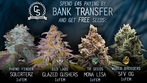 Bank Transfer