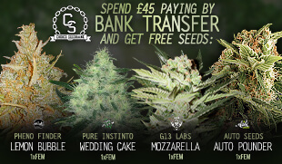 Bank Transfer