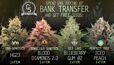 Bank Transfer