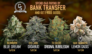 Bank Transfer