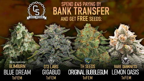 Bank Transfer