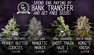 Bank Transfer