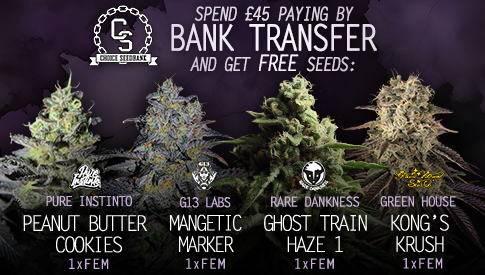 Bank Transfer