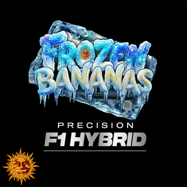 Barneys Farm Seeds Frozen Bananas F1